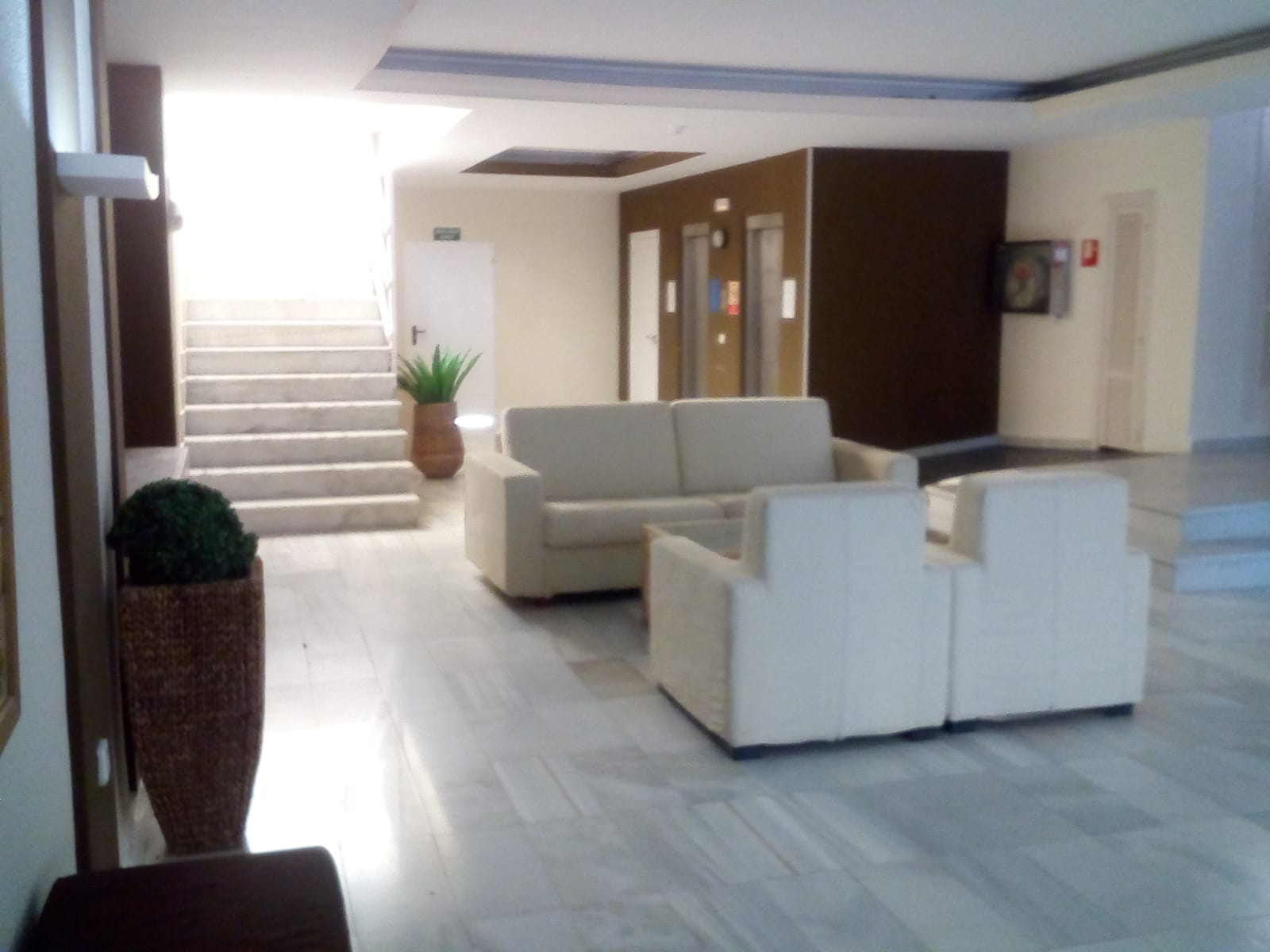 Apartamentos Calidad: Ibiza Ses Fontanelles 2 - 